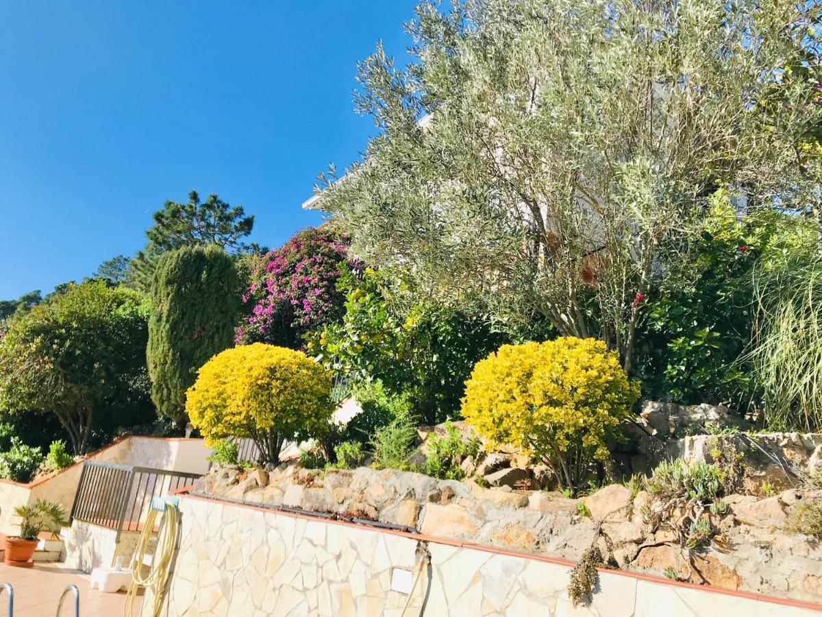 Mediterranean Villa Investingspain Sea View And Pool Льорет-де-Мар Екстер'єр фото